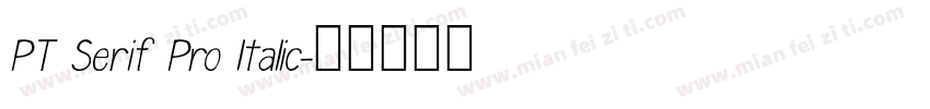 PT Serif Pro ltalic字体转换